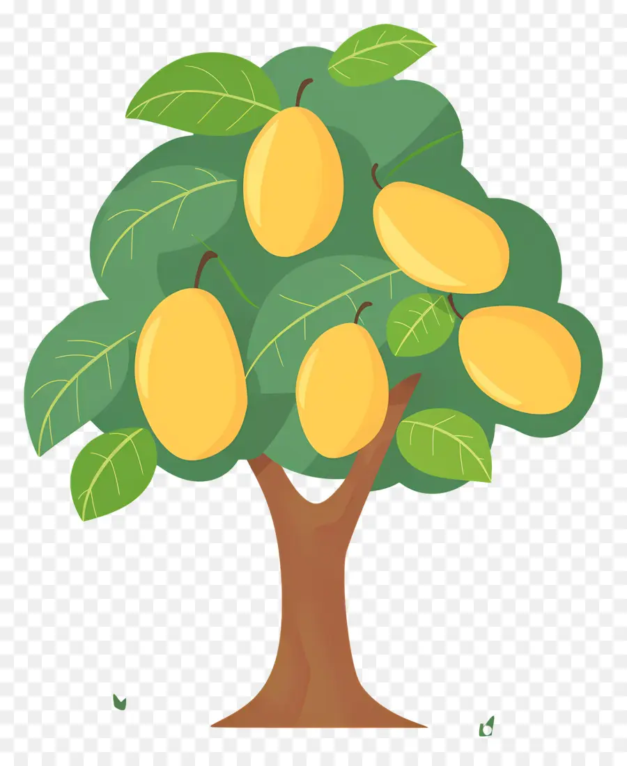 árbol De Mango，Limonero PNG