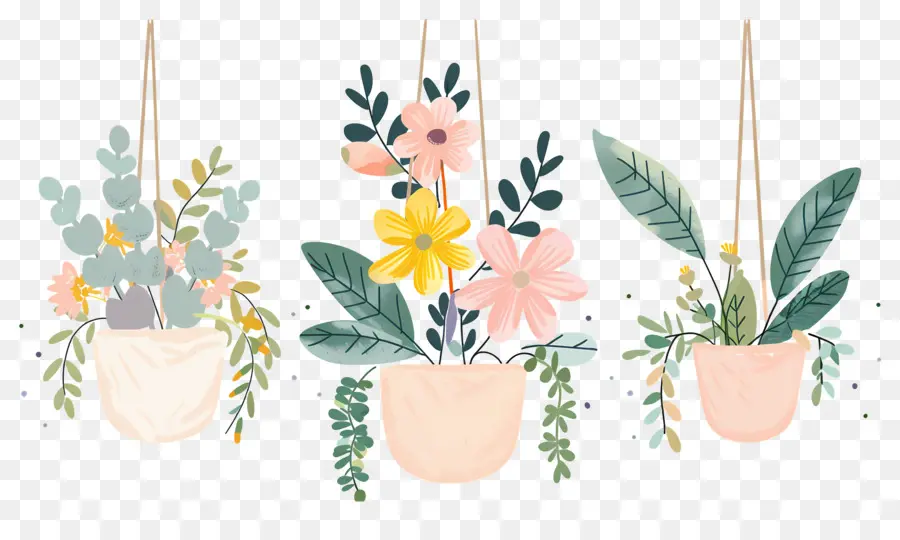 Flores Colgantes，Conjunto De Plantas Colgantes Con Flores PNG