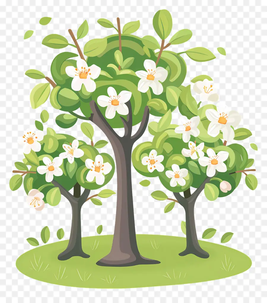 árbol De Flores，Tres árboles En Flor PNG