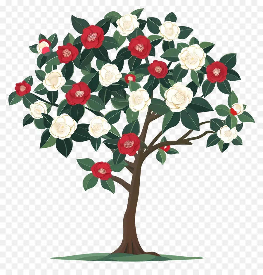 árbol De Flores，Árbol Con Flores Rojas Y Blancas PNG