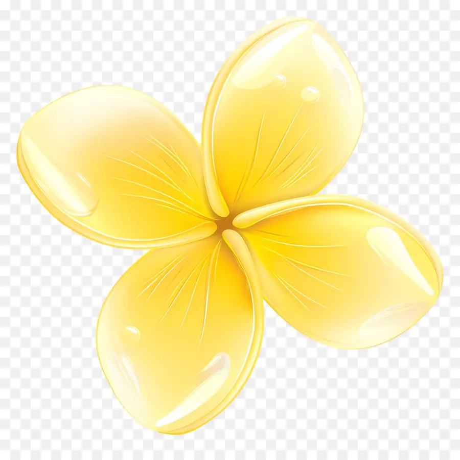 Flor De Plumeria，Flor Amarilla PNG