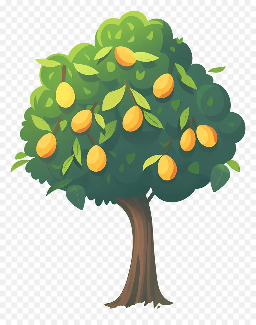 árbol De Mango，Fruta PNG