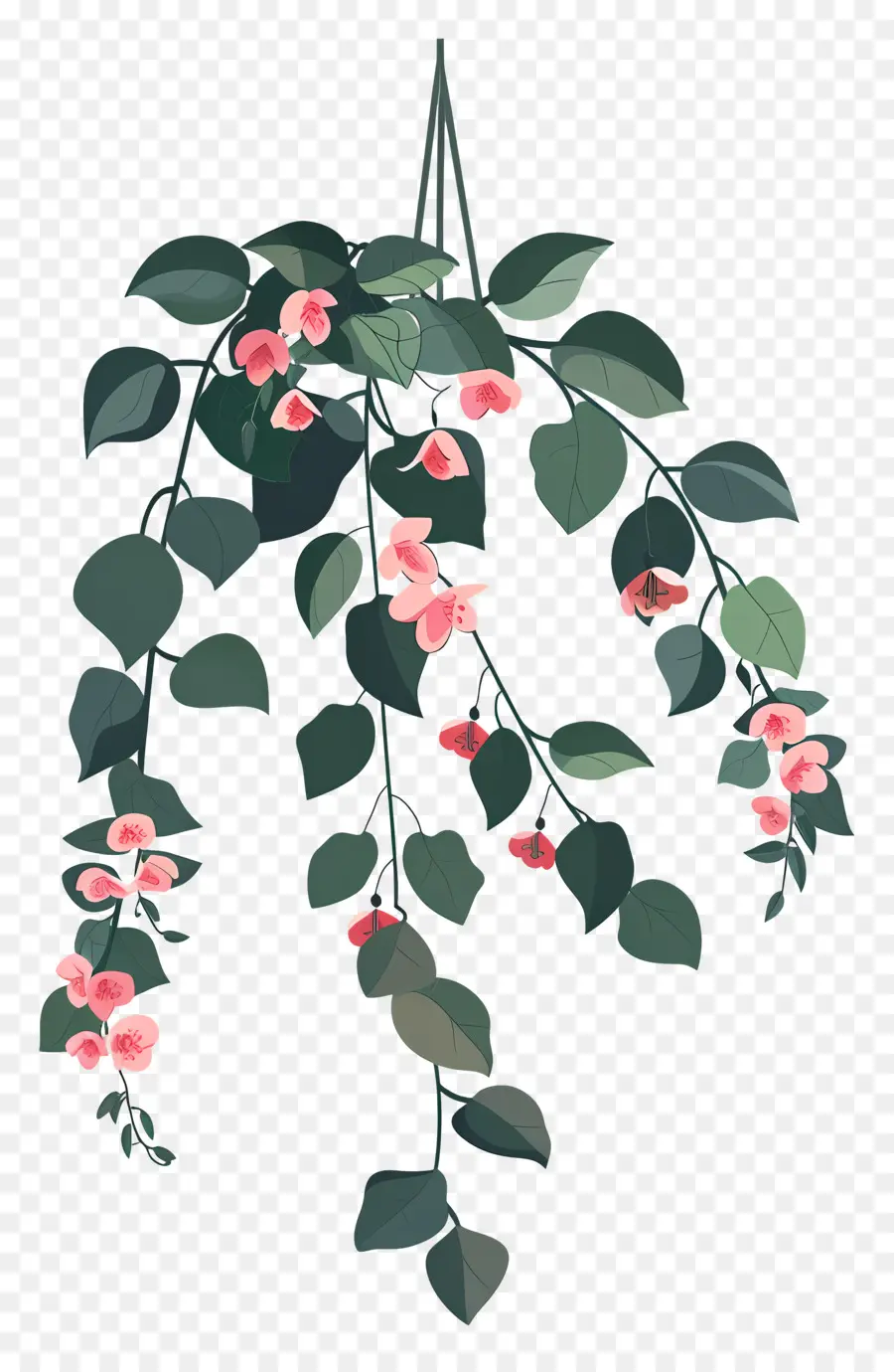 Flores Colgantes，Planta Colgante Con Hojas Oscuras PNG