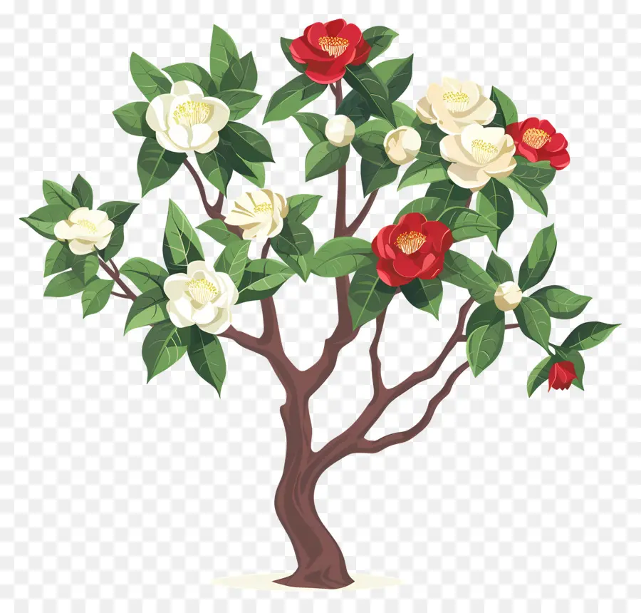 árbol De Flores，Árbol Con Flores Rojas Y Blancas PNG