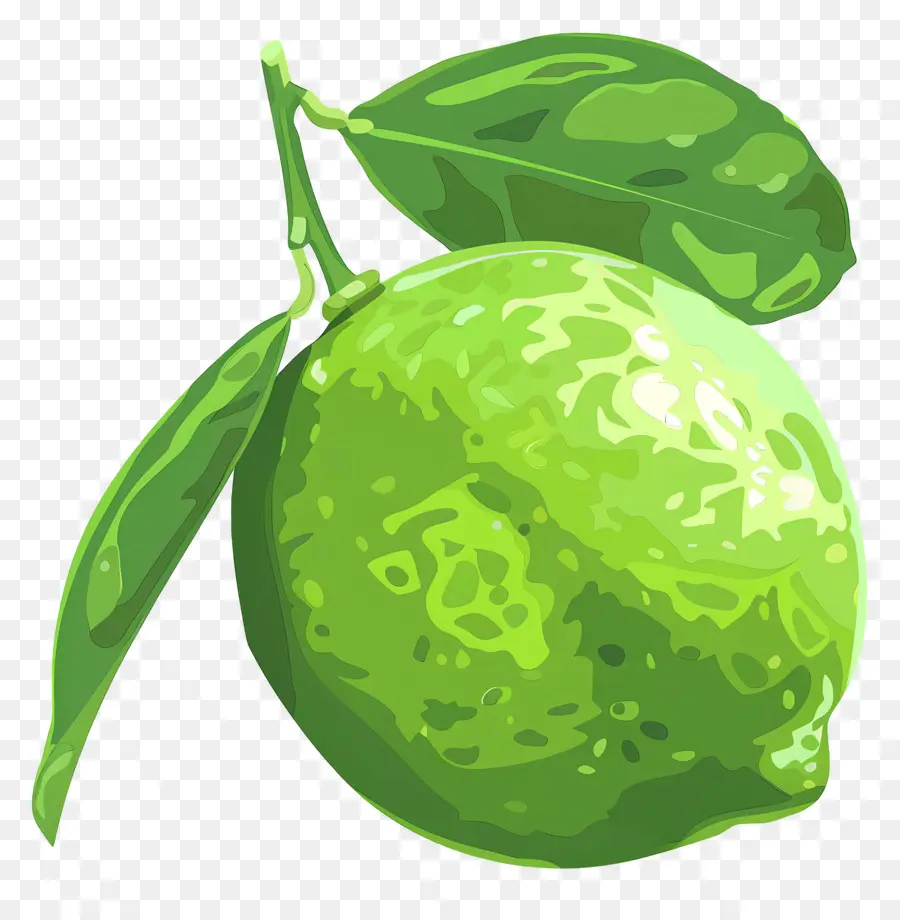 Limón Verde，Limas Verdes PNG