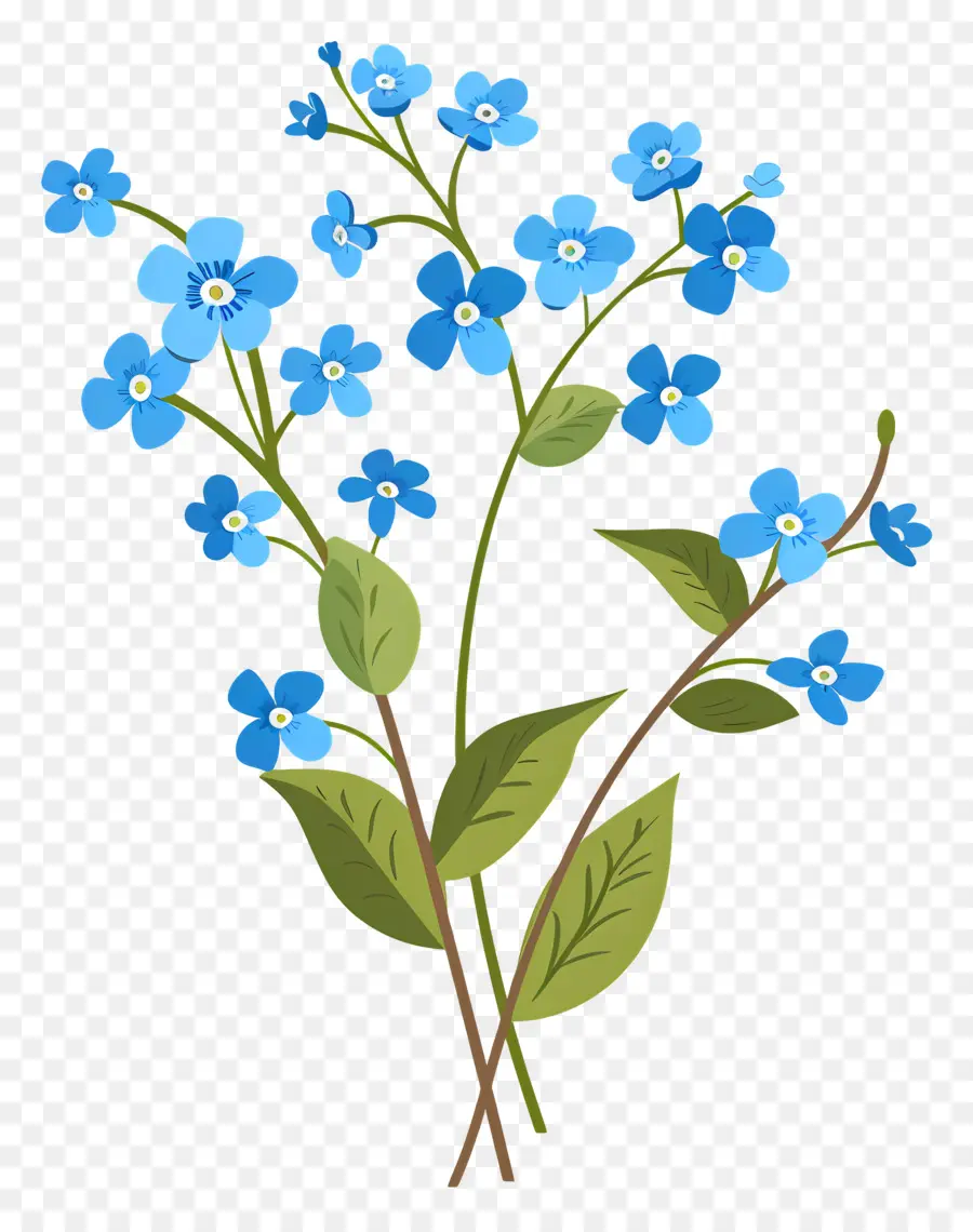 Flores Azules，Azul PNG