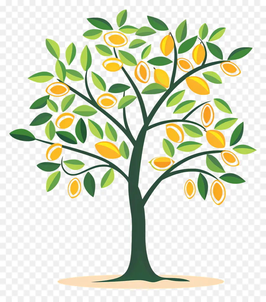 árbol De Mango，Fruta PNG