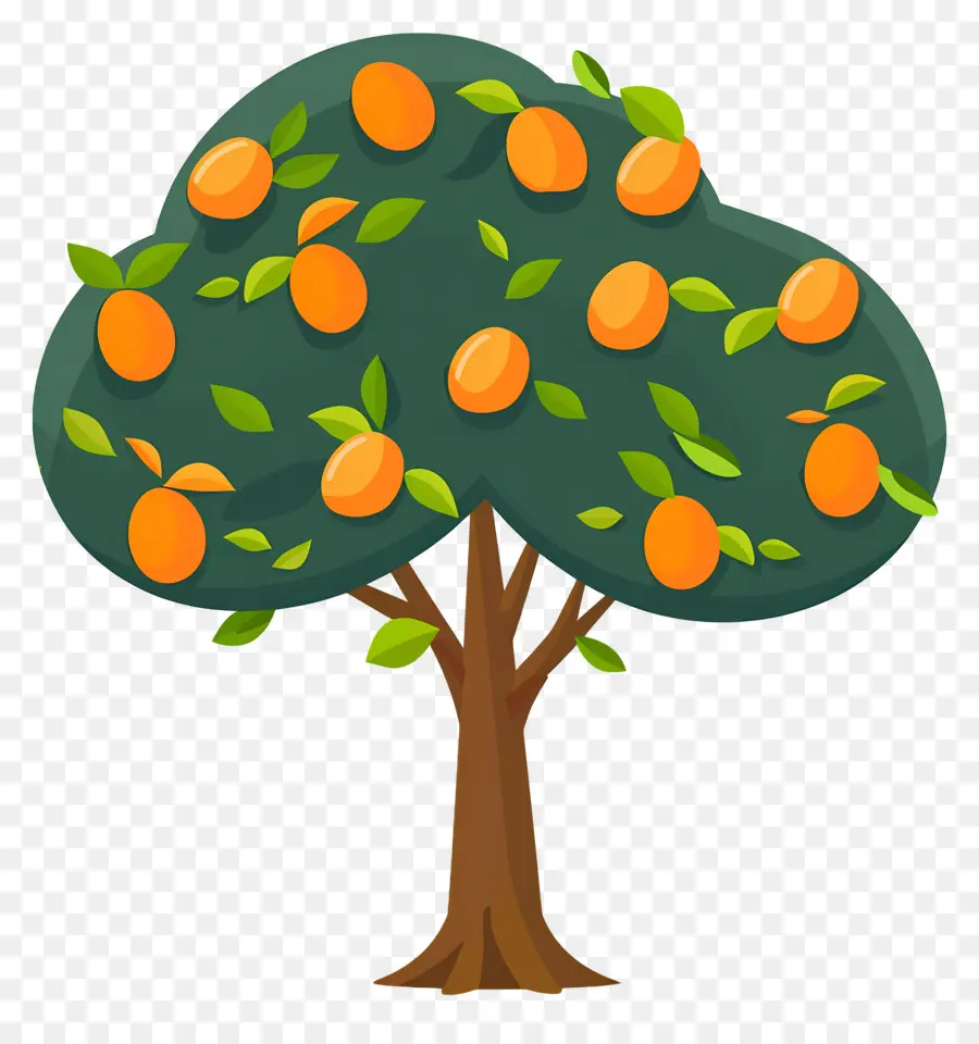 árbol De Mango，Fruta PNG