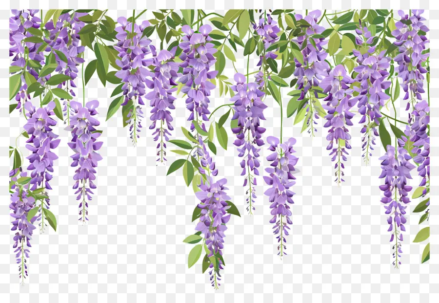 Flores Colgantes，Flores Moradas Colgantes PNG