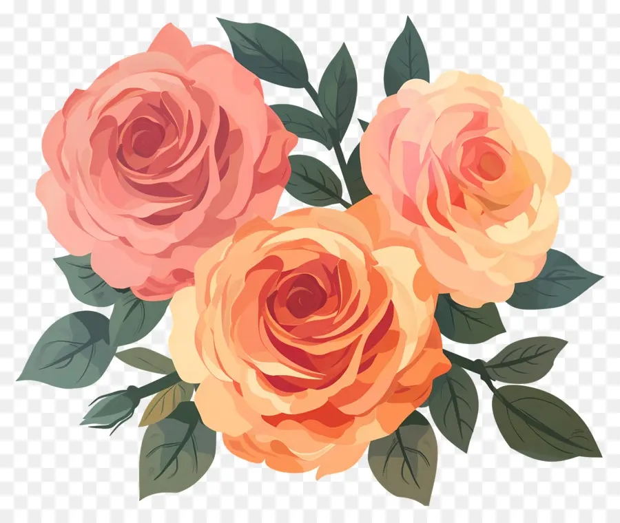 Flor Rosa，Rosas Naranjas PNG