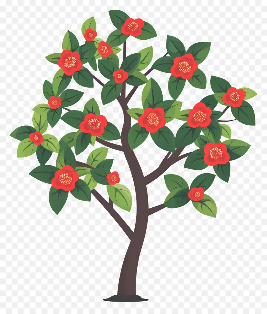 árbol De Flores，Árbol Con Flores Rojas Y Blancas PNG