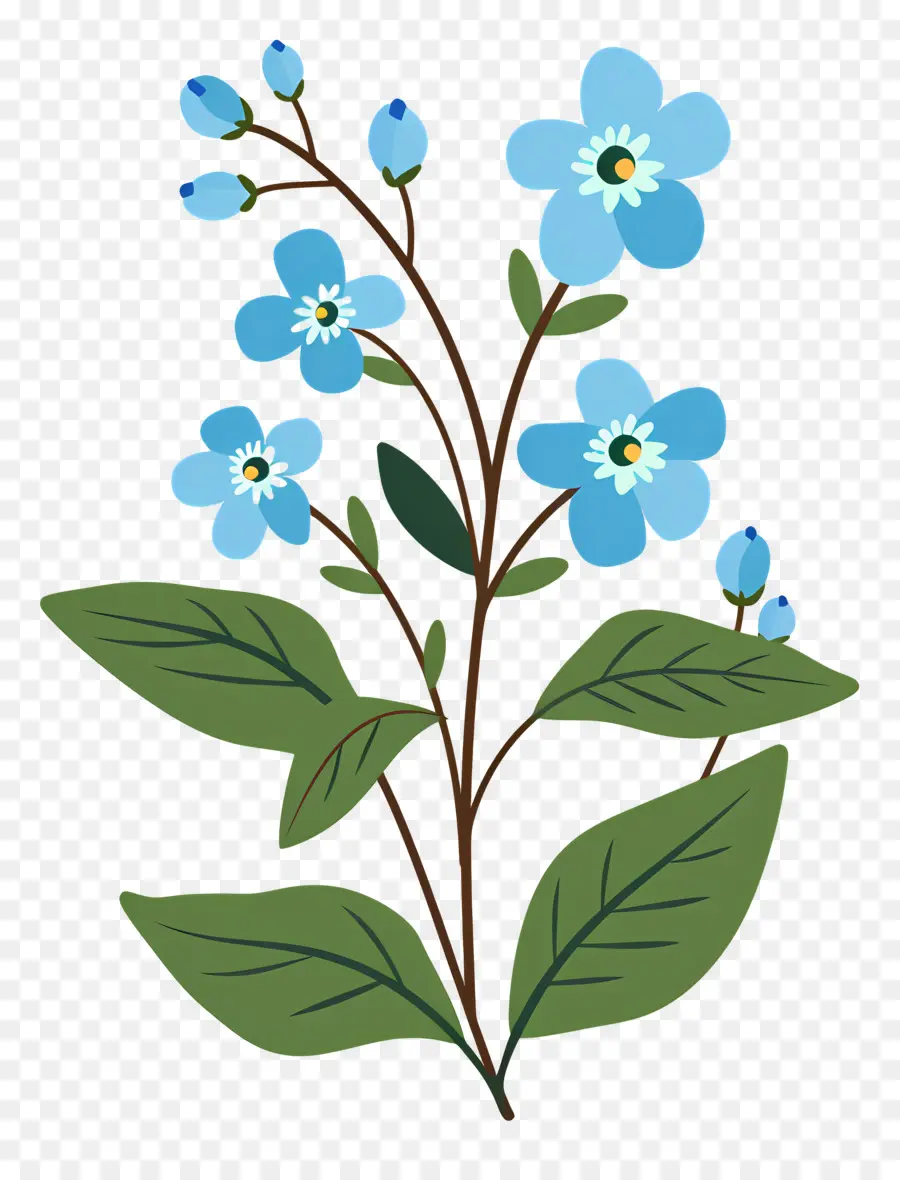 Flores Azules，Hojas Verdes PNG