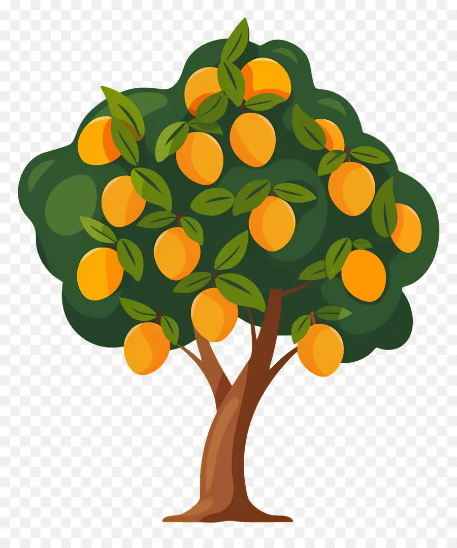 árbol De Mango，Fruta PNG