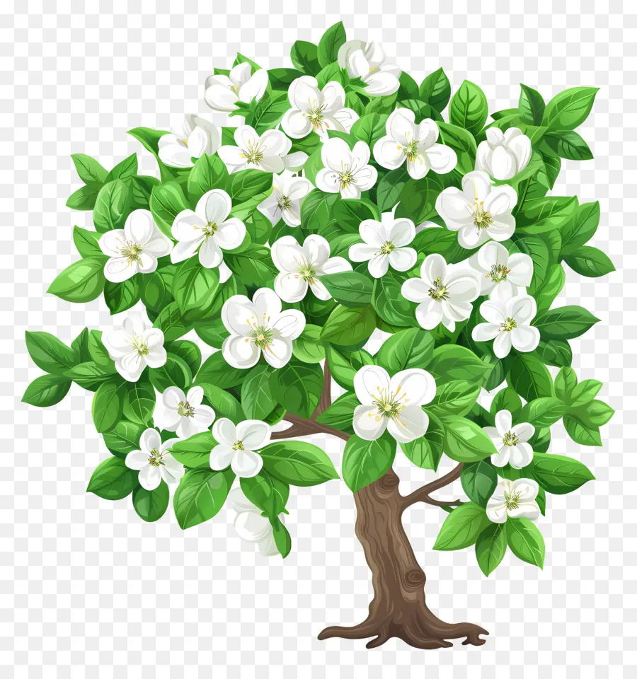 árbol De Flores，árbol Floreciente PNG