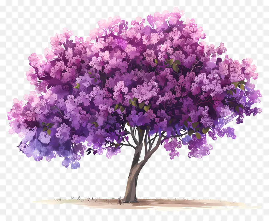 árbol De Flores，árbol Morado PNG