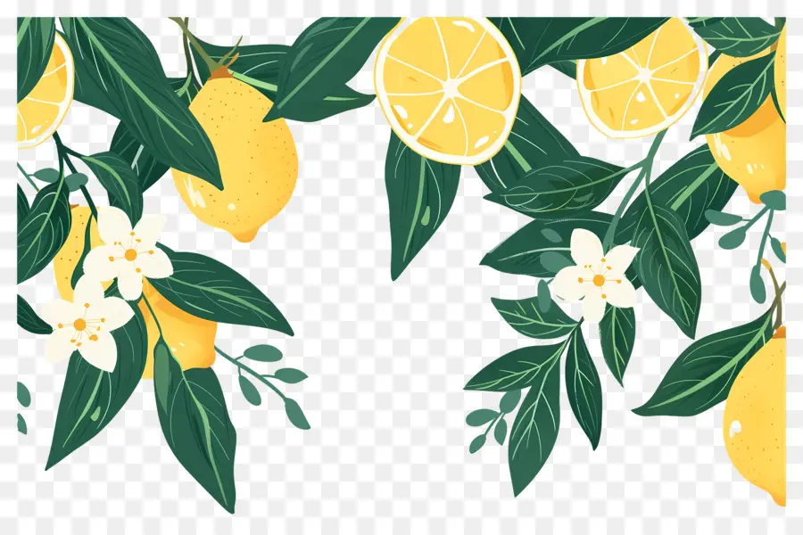 Limones，Rama De Limon PNG