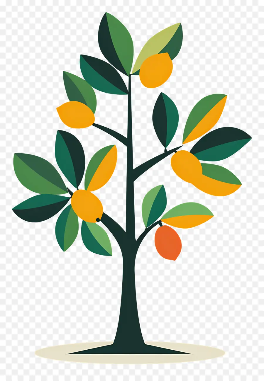 árbol De Mango，Fruta PNG