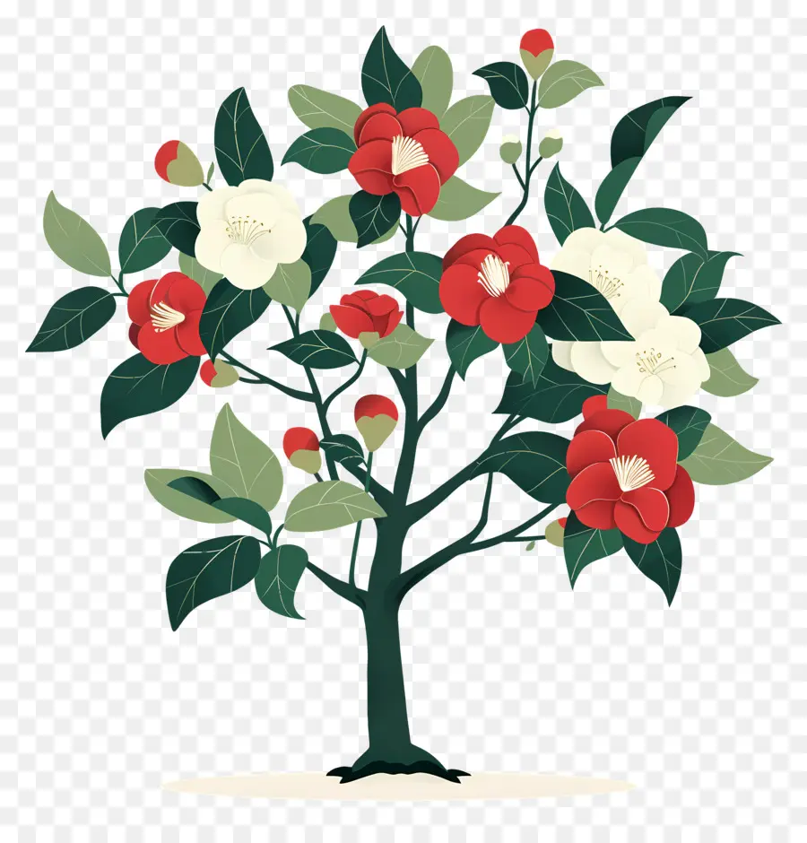 árbol De Flores，Árbol Con Flores Rojas Y Blancas PNG