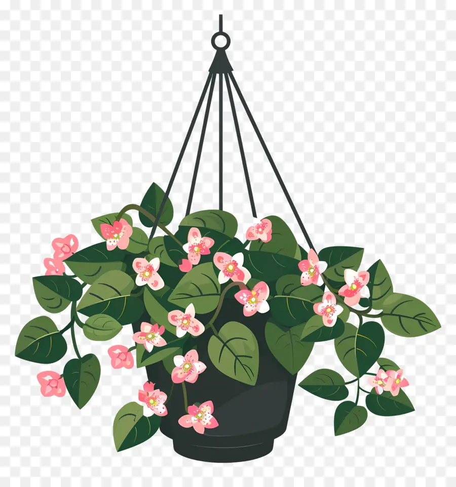 Flores Colgantes，Planta Colgante Con Pequeñas Flores Rosas PNG