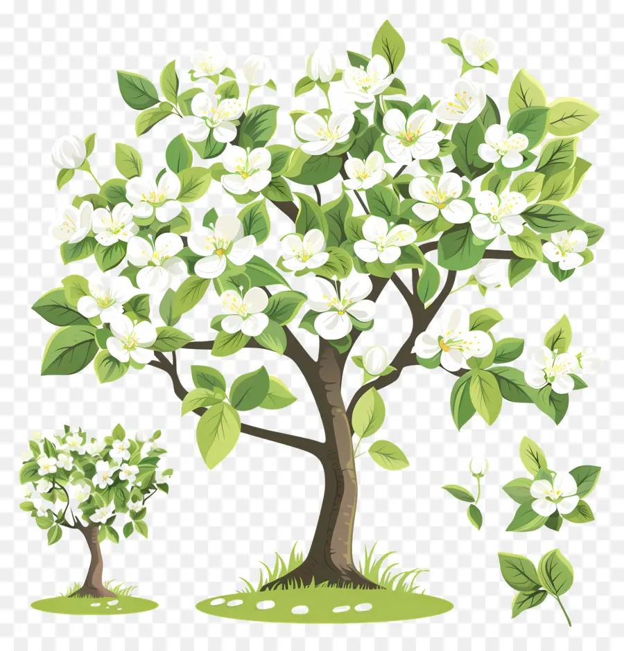 árbol De Flores，Tres árboles En Flor PNG