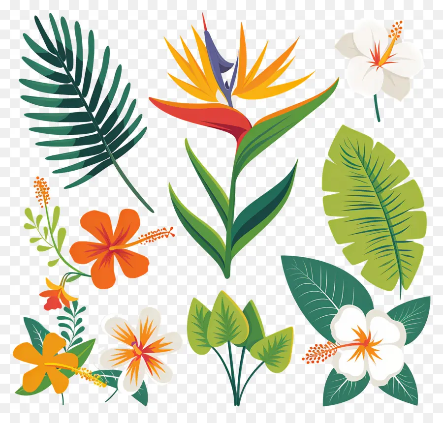 Flores Tropicales，Hojas Y Flores Tropicales PNG