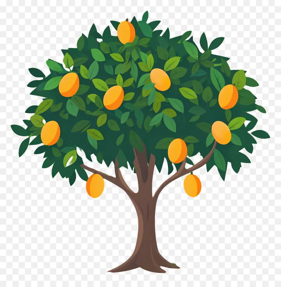 árbol De Mango，Fruta PNG