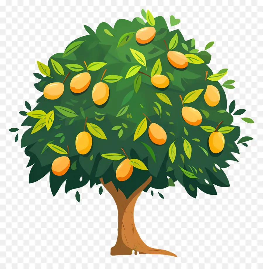 árbol De Mango，Fruta PNG