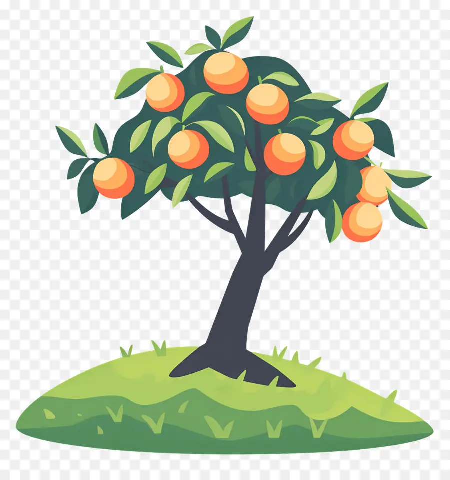 Naranjo，árbol De Mango PNG