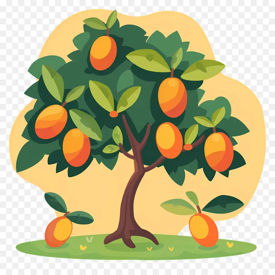 árbol De Mango，Fruta PNG