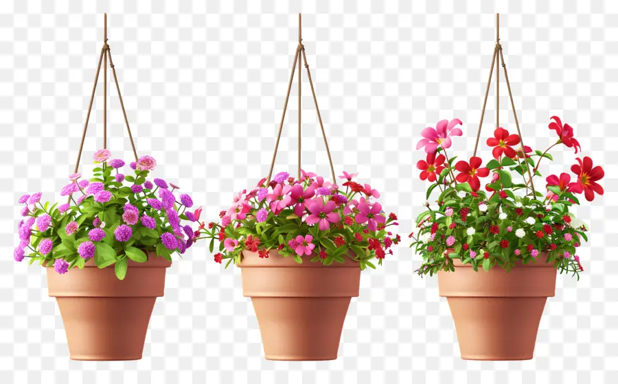 Flores Colgantes，Macetas Colgantes PNG