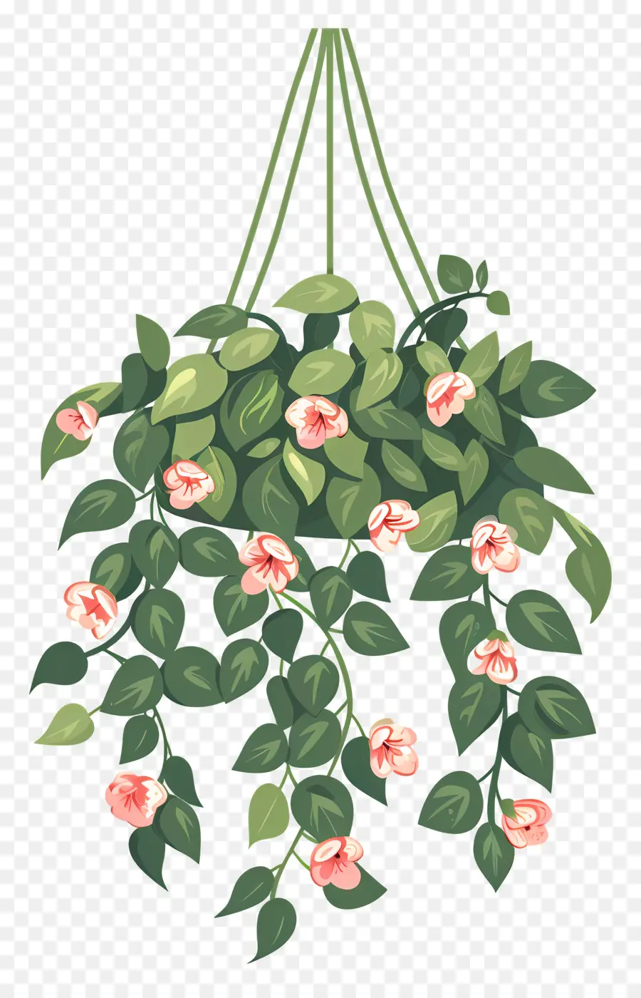 Flores Colgantes，Planta Colgante Con Flores Rosas PNG