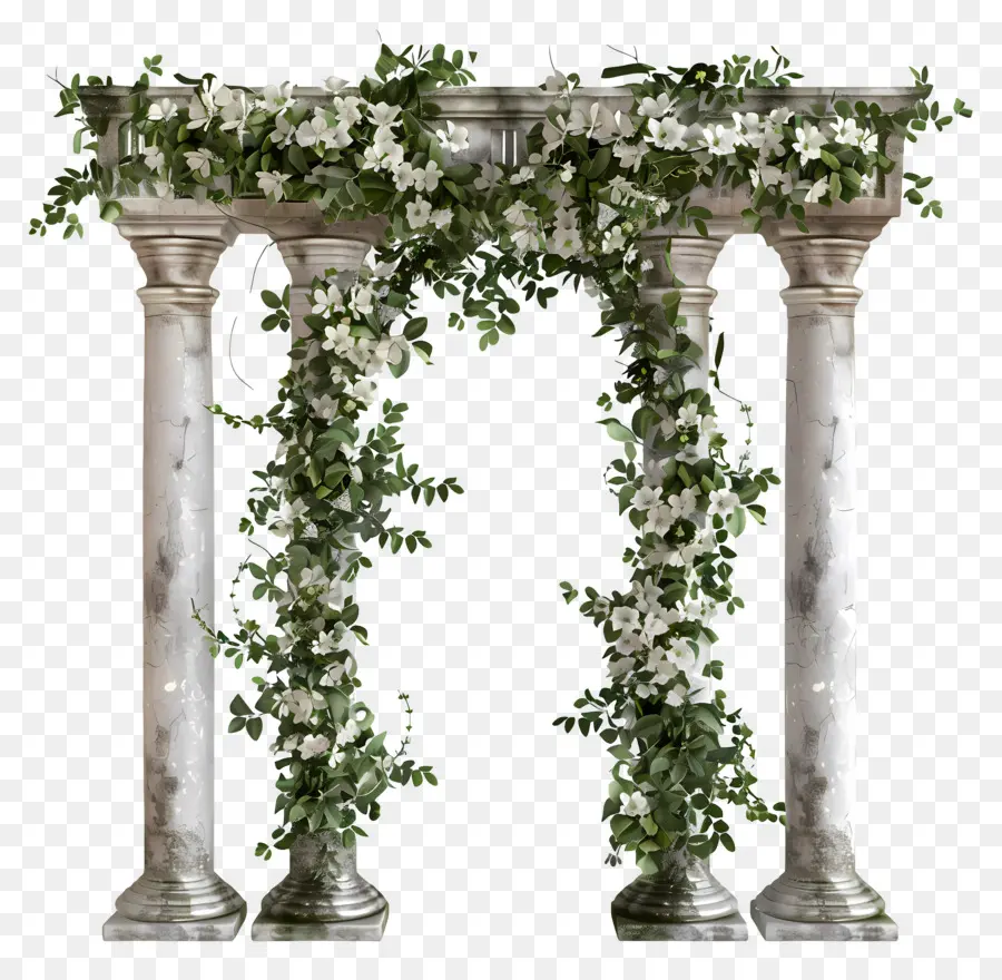 Arco De Boda，Arco De Columna Blanca PNG