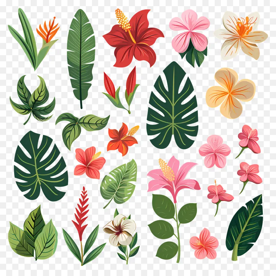 Flores Tropicales，Hojas Y Flores Tropicales PNG