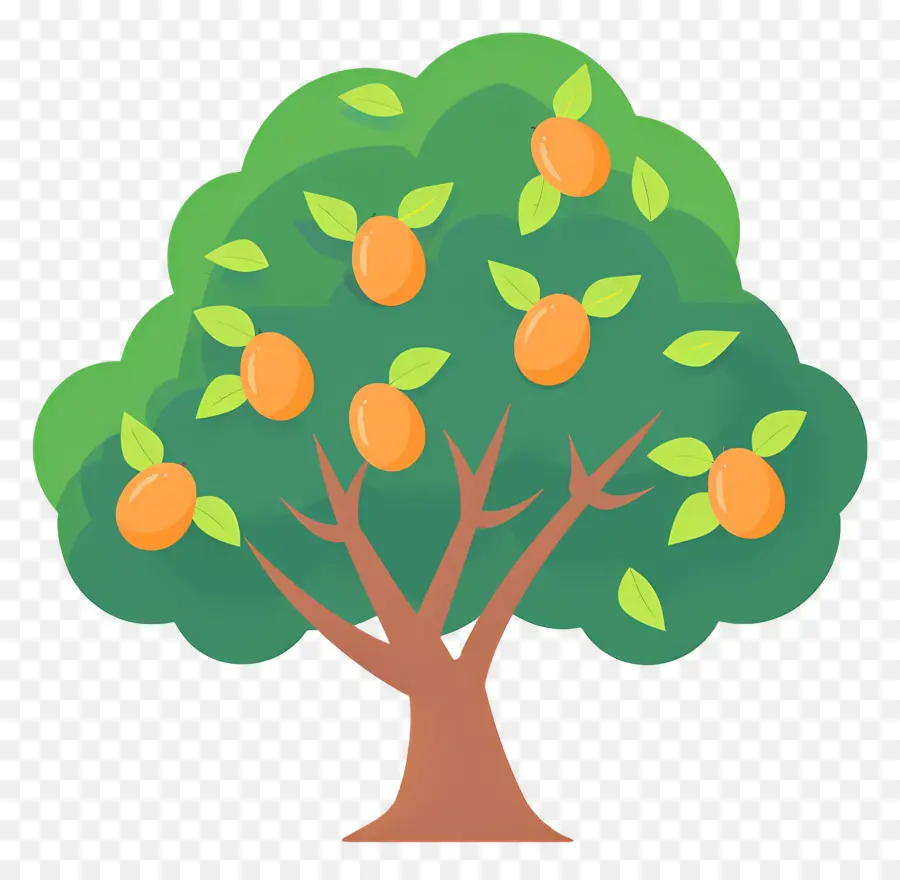 árbol De Mango，Fruta PNG