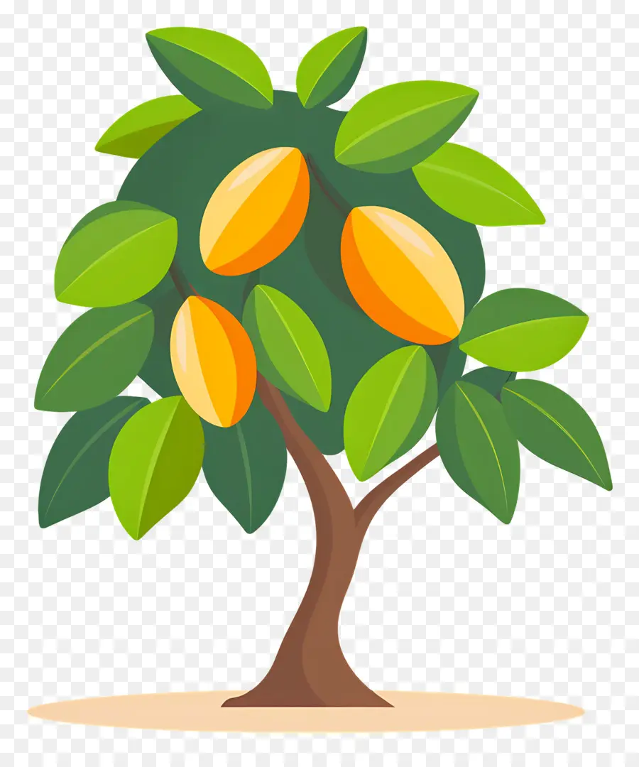 árbol De Mango，Fruta PNG