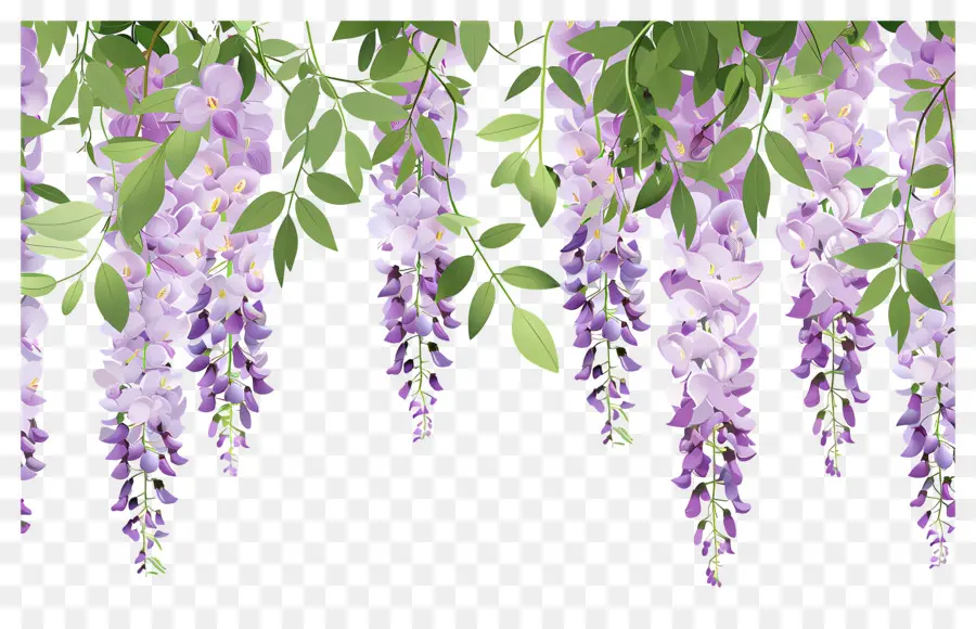 Flores Colgantes，Flores Moradas Colgantes PNG