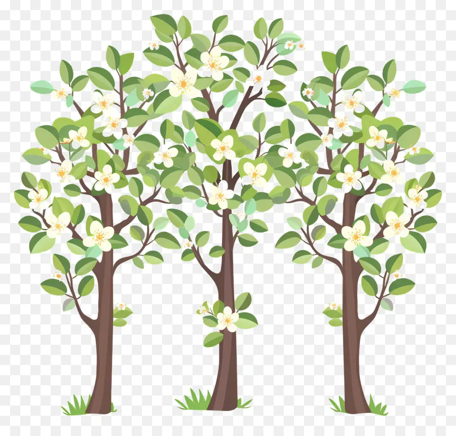 árbol De Flores，Tres árboles En Flor PNG