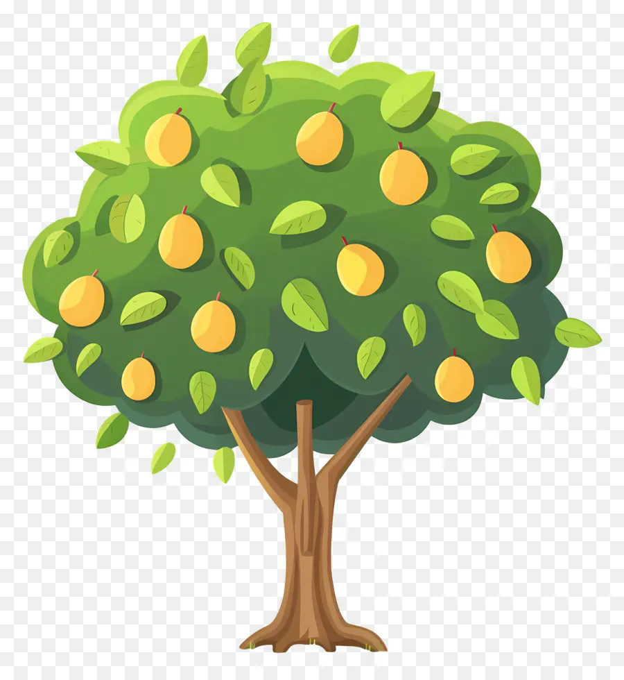 árbol De Mango，Fruta PNG