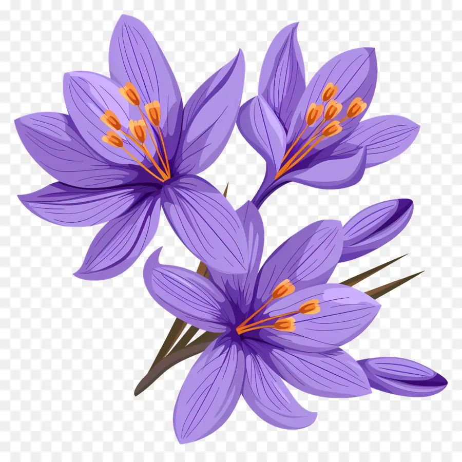 Flores De Azafrán，Flores Moradas PNG