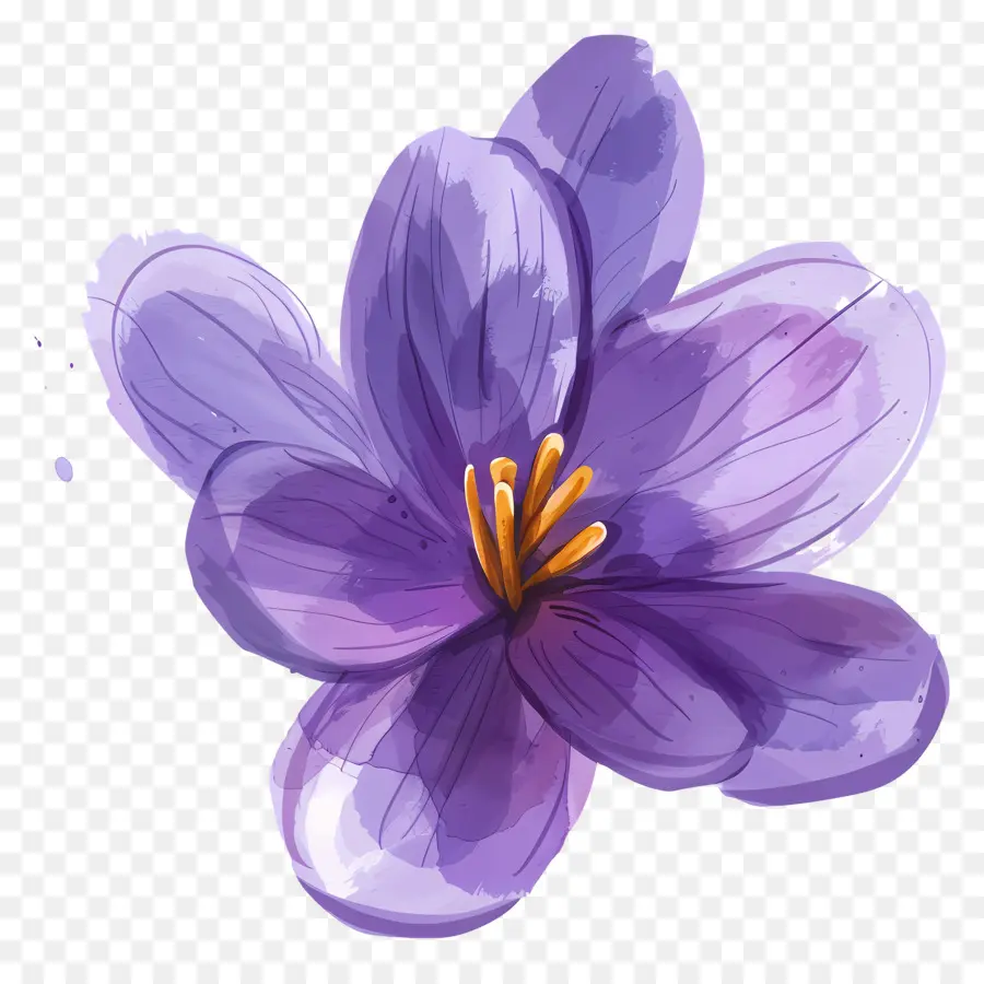 Flor De Azafrán，Flor Morada PNG