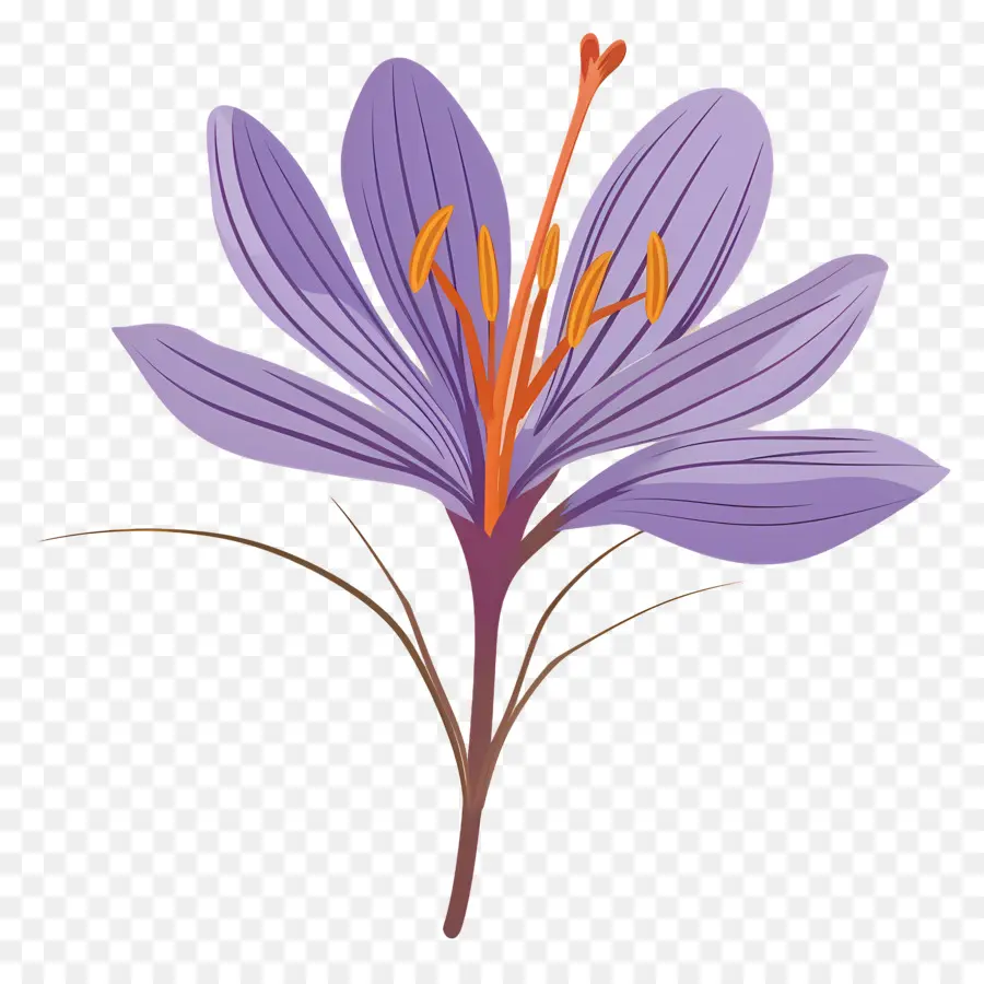 Flor De Azafrán，Flor Morada PNG