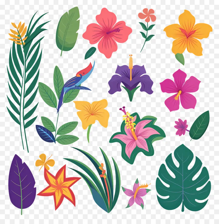 Flores Tropicales，Hojas Y Flores Tropicales PNG