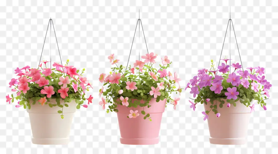 Flores Colgantes，Macetas Colgantes PNG