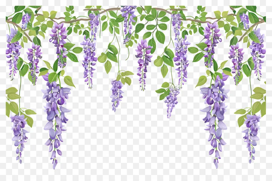 Flores Colgantes，Flores Moradas Colgantes PNG