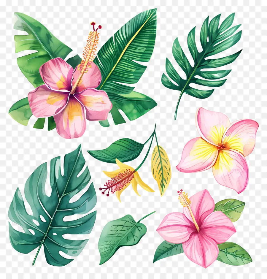 Flores Tropicales，Flores Y Hojas Tropicales PNG