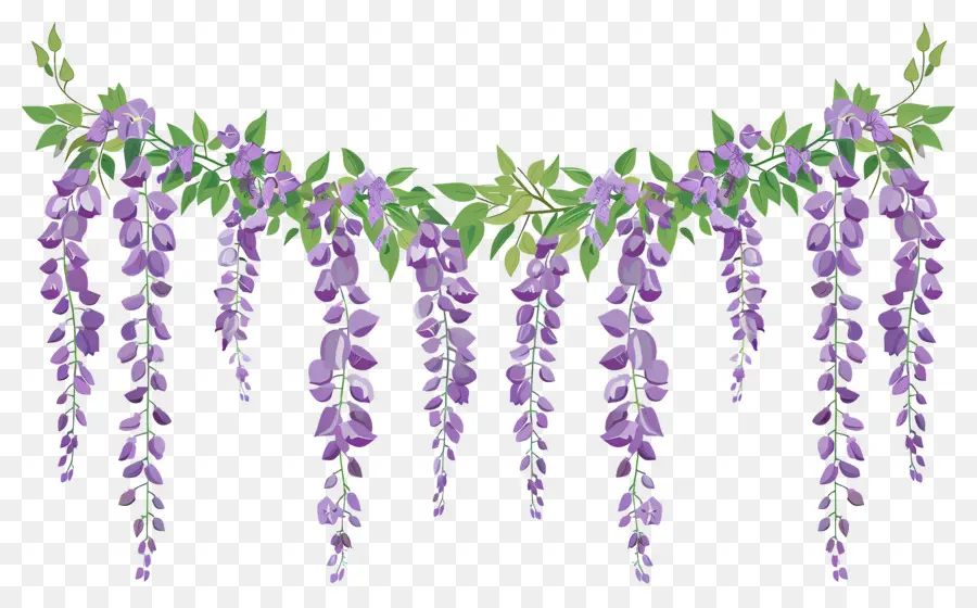 Flores Colgantes，Flores Moradas Colgantes PNG