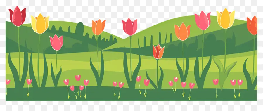 Hierba De Flores，Tulipanes PNG