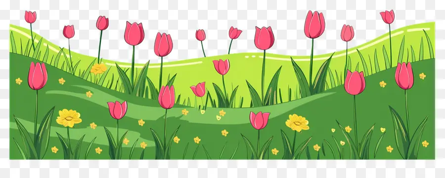 Hierba De Flores，Tulipanes PNG