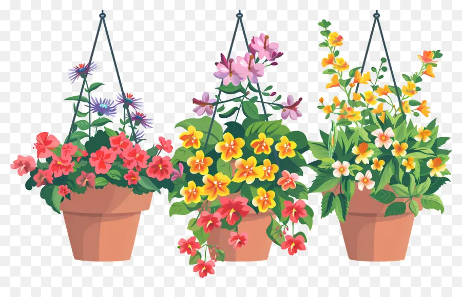 Flores Colgantes，Macetas Colgantes PNG