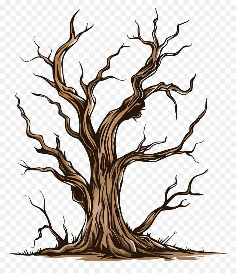 árbol Muerto，árbol Retorcido PNG